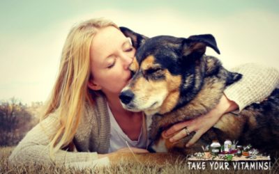 Pet Vitamin Supplements: Holistic Health for Your Pet